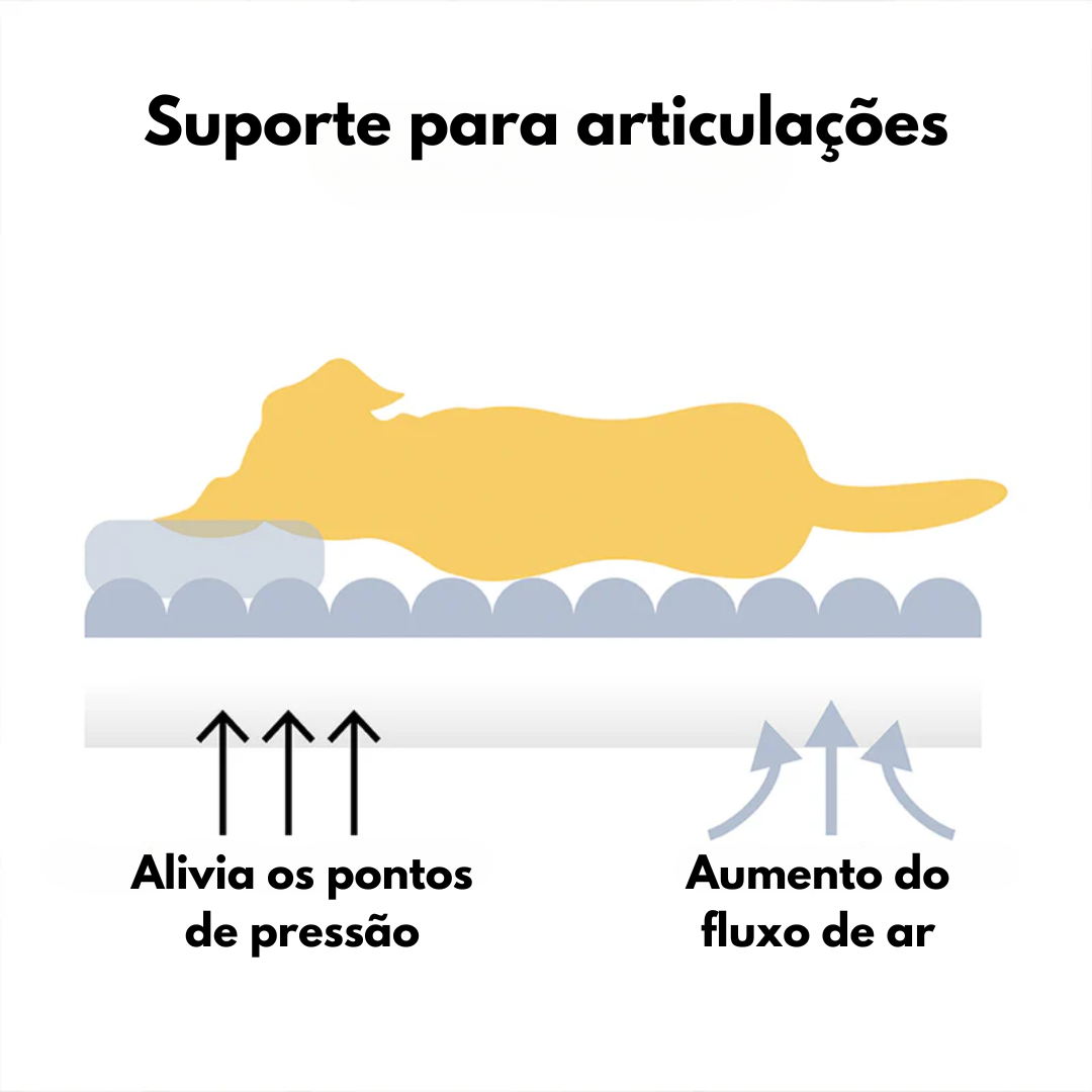 Cama Sofá Pet Ortopédico - O seu pet merece o melhor + Escadinha de Brinde